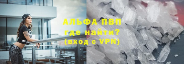 PSILOCYBIN Верея