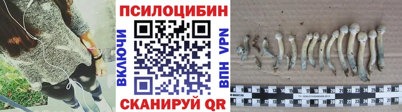 Галлюциногенные грибы Cubensis Дно